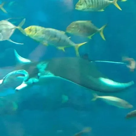 La Grange * Offrethun