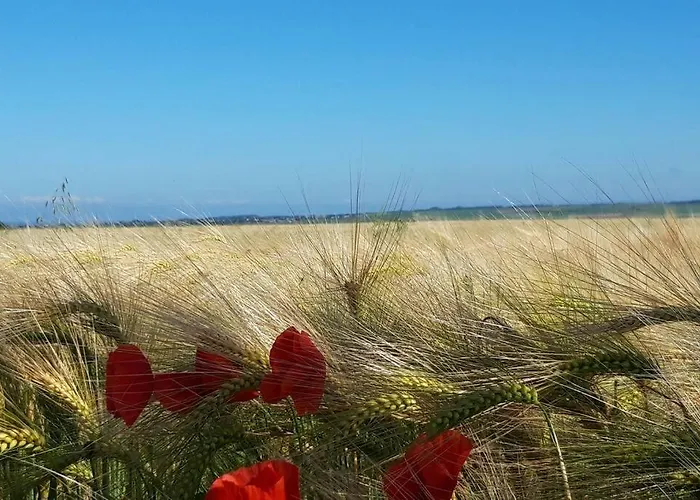 La Grange Casa vacanze