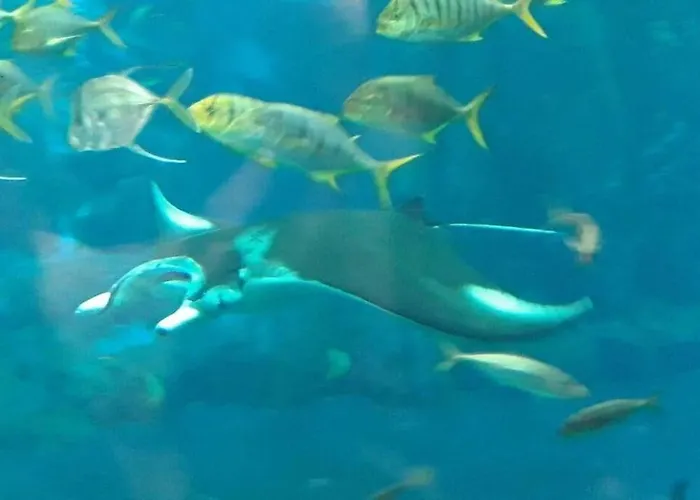 La Grange * Offrethun